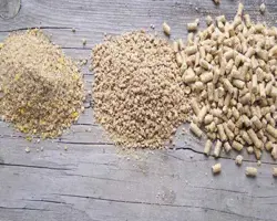  سوپر کنسانتره ویژه قرقاول (دارای محرک های تقویتی برای جنین ) تخمگذار نطفه دار
