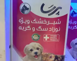 شیر خشک