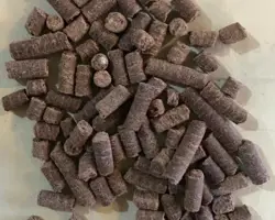 خوراک ماهی گرمابی