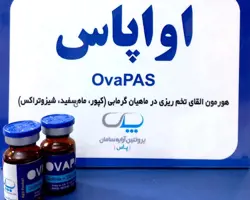 اوواپاس