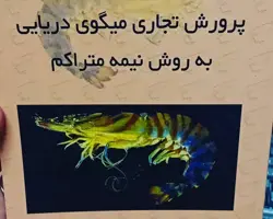 کتاب راهنمای کاربردی پرورش تجاری میگوی دریایی به روش نیمه متراکم