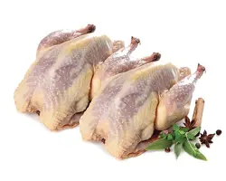 گوشت گرم و منجمد قرقاول