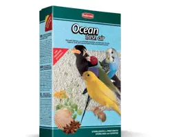 شن اقیانوس برای پرندگان ocean
