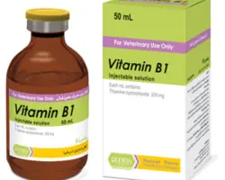 ویتامین ب1 | Vitamin B1