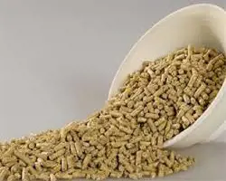پیش دان طیور