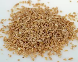 گندم شکسته