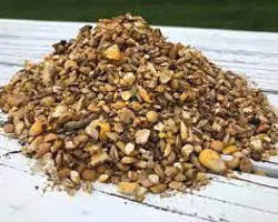 کنسانتره ویژه بره آجیلی 