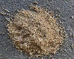 گندم شکسته ( خرده گندم )