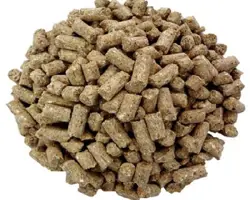 خوراک دام پرواری گاو