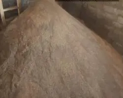 کنجاله زیتون