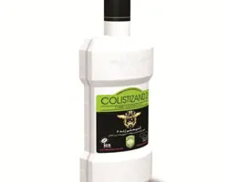 کلیستی زند 2 – Colistizand