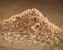 سبوس گندم