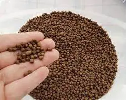 خوراک گلد ماهی کپور( پیش رشد)