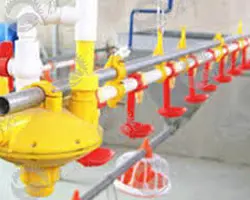 سیستم آبخوری نیپل با لوله گرد به طول 95 متر 