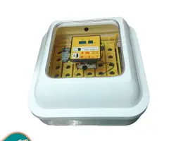 جوجه کشی 42 عددی