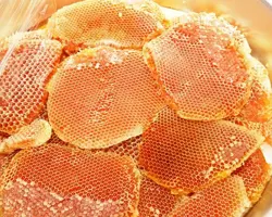 عسل کوهی
