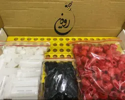 ابزار  و لوازم  پیوند ملکه زنبورعسل