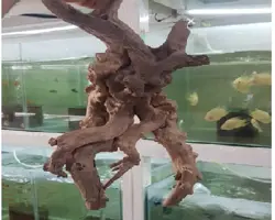 چوب آبنوس