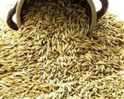 جو محلی 
