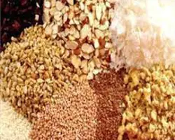 کنسانتره عشایری بره پروار اجیلی