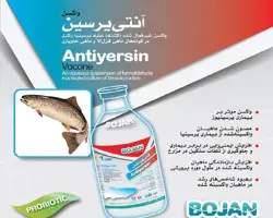 واکسن آنتی یرسین