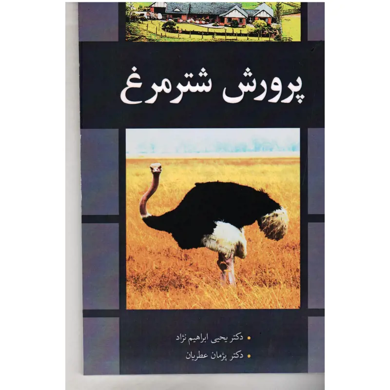تصویر شماره 1 محصول 