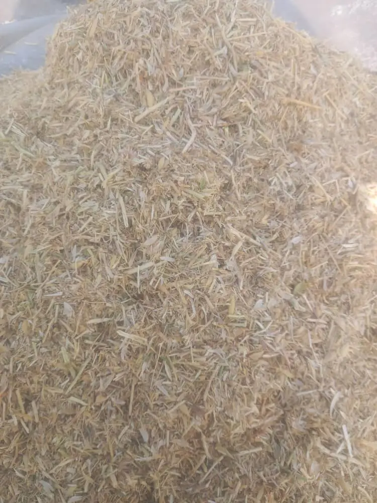 تصویر شماره 2 محصول 