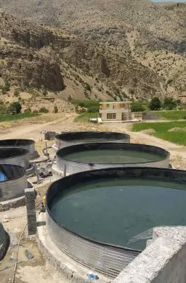 تصویر شماره 1 محصول 