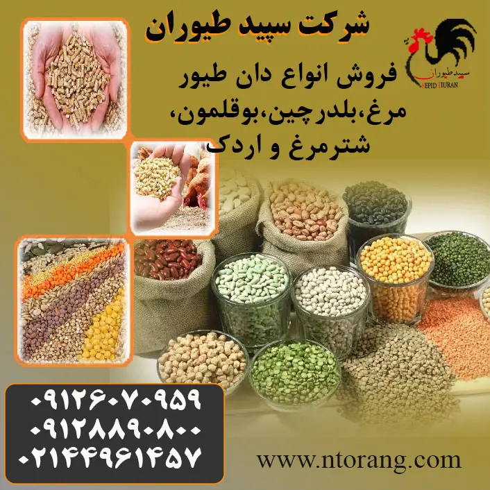 تصویر شماره 1 محصول 
