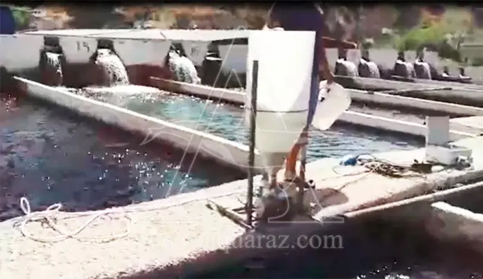 تصویر شماره 1 محصول 