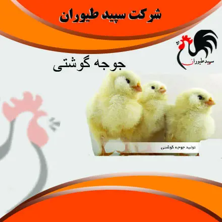 تصویر شماره 2 محصول 