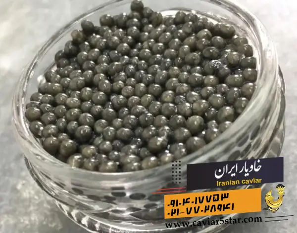 تصویر شماره 1 محصول 