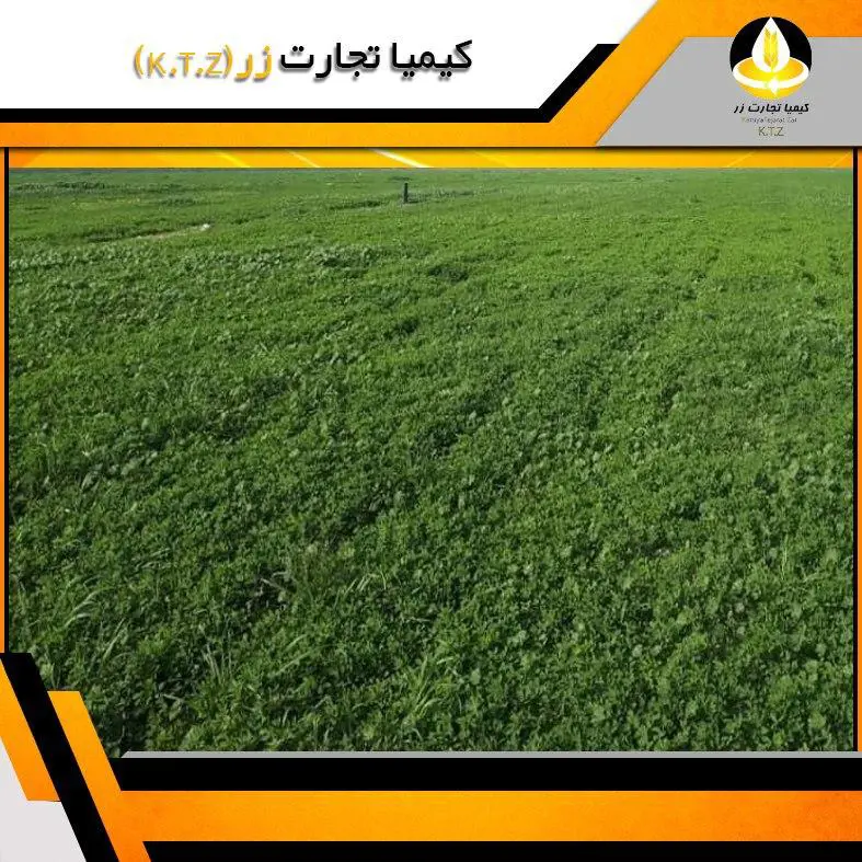 تصویر شماره 1 محصول 