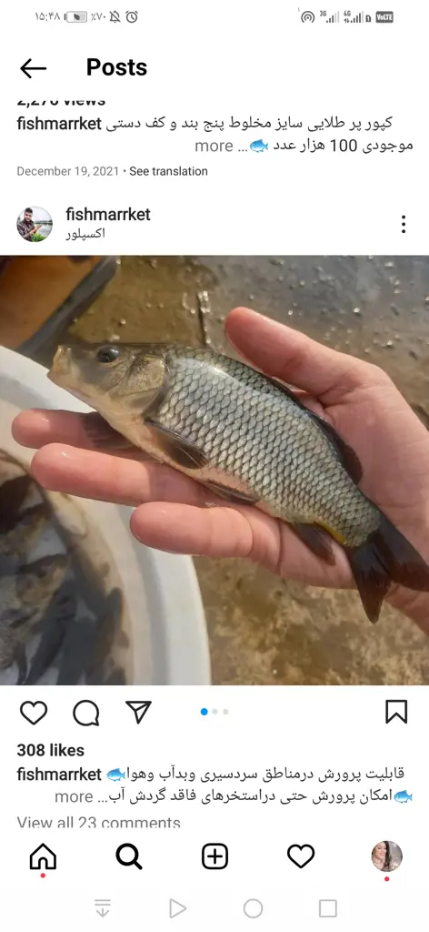 تصویر شماره 3 محصول 