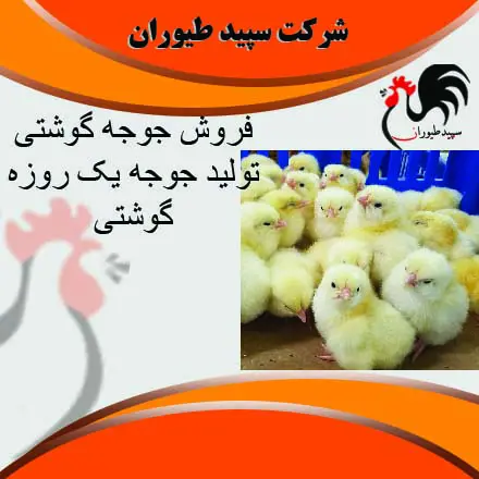 تصویر شماره 3 محصول 