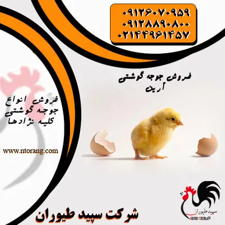 تصویر شماره 1 محصول 