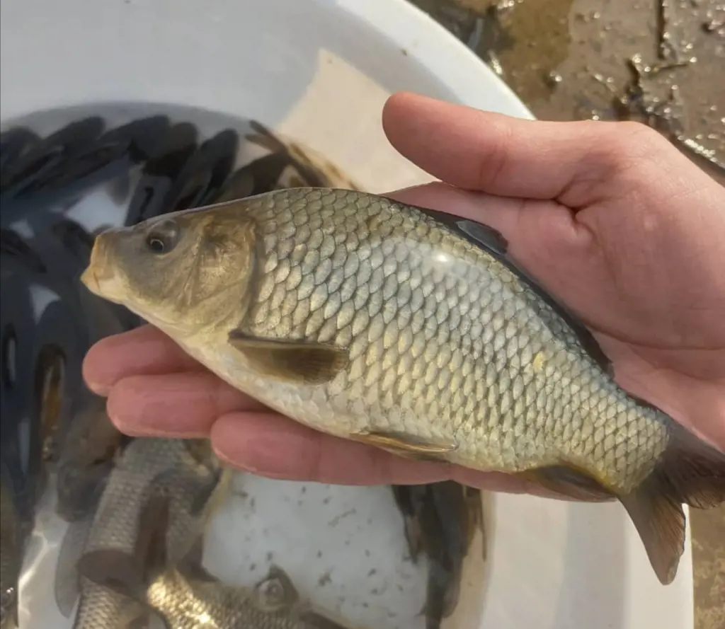 تصویر شماره 1 محصول 