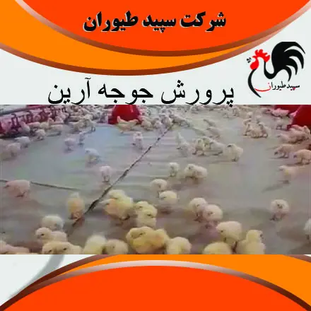 تصویر شماره 3 محصول 