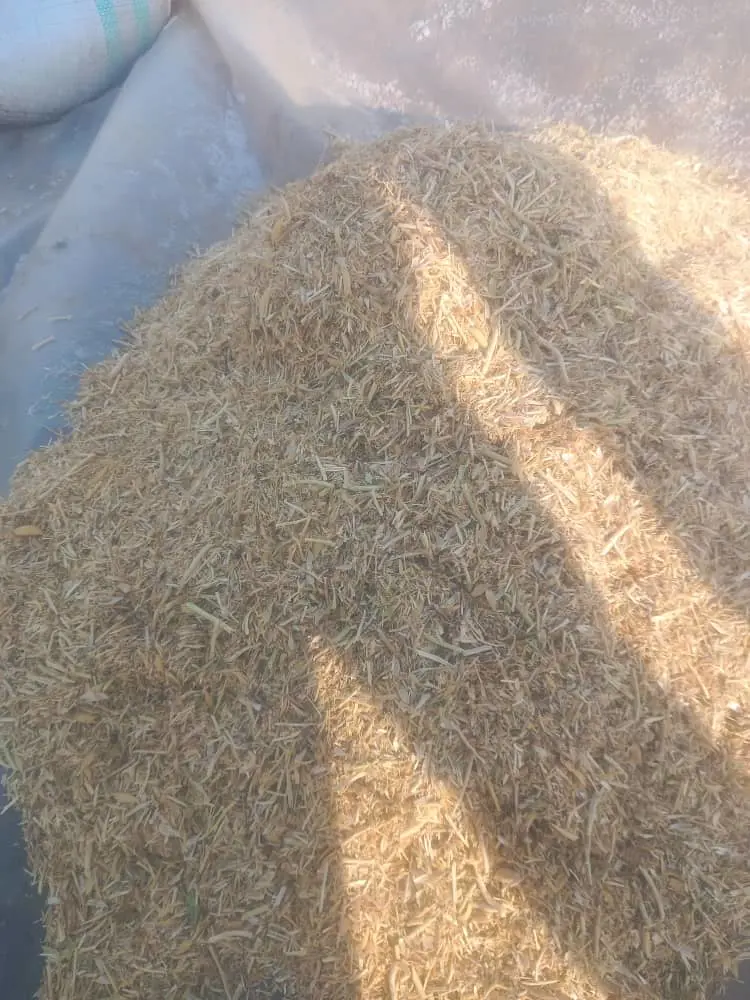 تصویر شماره 1 محصول 