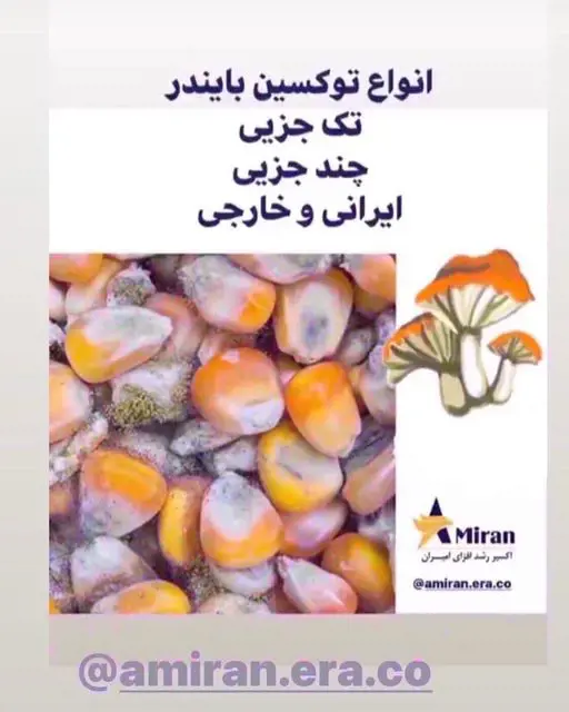 تصویر شماره 1 محصول 