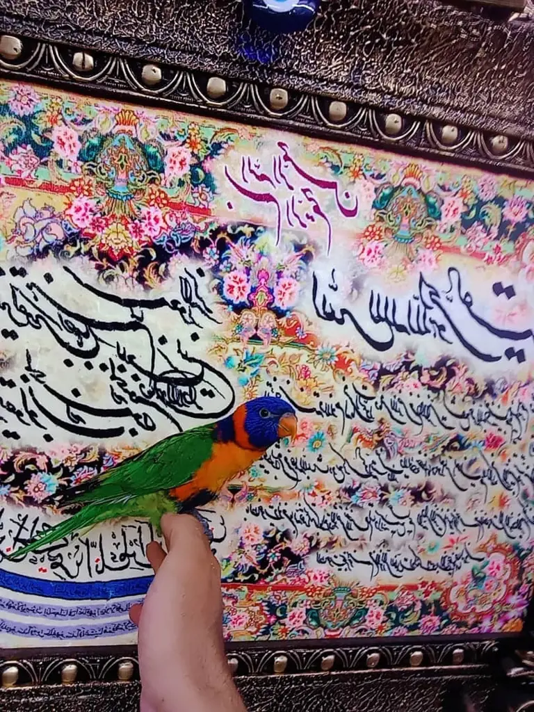 تصویر شماره 1 محصول 