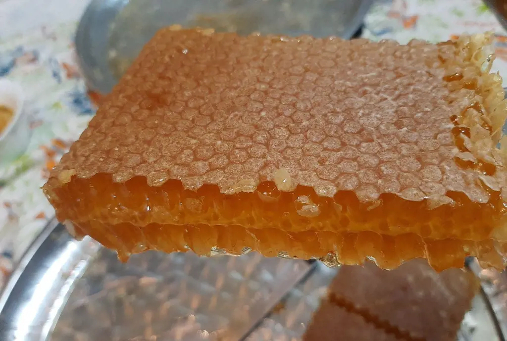 تصویر شماره 2 محصول 