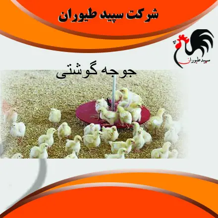 تصویر شماره 2 محصول 