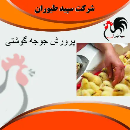تصویر شماره 3 محصول 