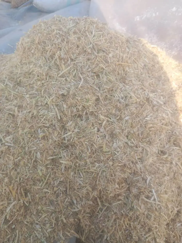 تصویر شماره 3 محصول 