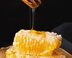 آزمایش کپک و مخمر