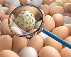 آزمایش شمارش و شناسایی سالمونلا آزمایش شمارش و شناسایی سالمونلا