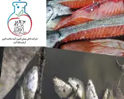 شناسایی عوامل بیماریزا در آبزیان