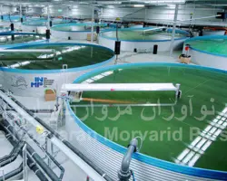 نصب استخر