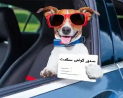 صدور شناسنامه و گواهی سلامت